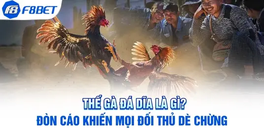 Thế Gà Đá Dĩa
